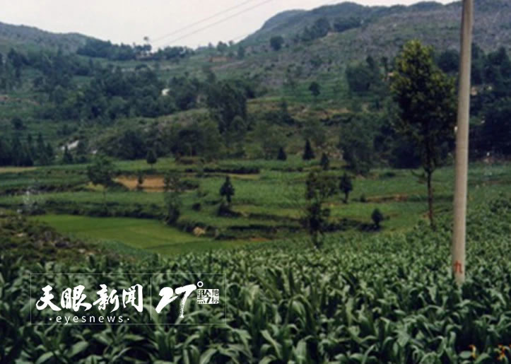 ����ʵ֤�������й��Ϸ�ԭʼ�Ļ���ҡ��