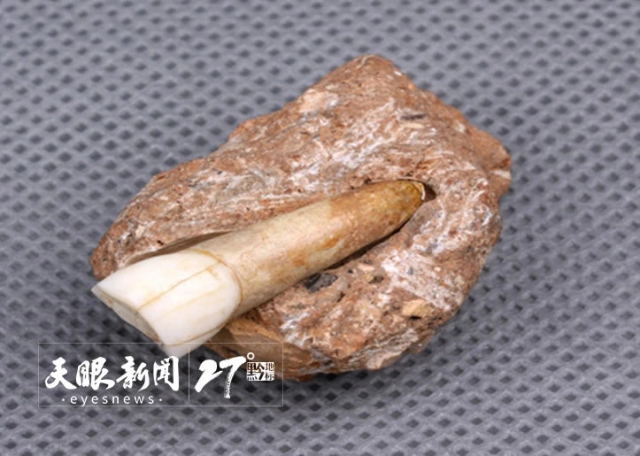 ����ʵ֤�������й��Ϸ�ԭʼ�Ļ���ҡ��