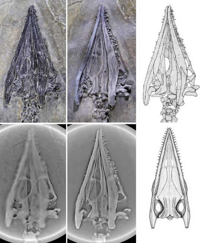 ����ʡ��ƽ�ط���2.44����ǰ�����������ж��������ƽ��