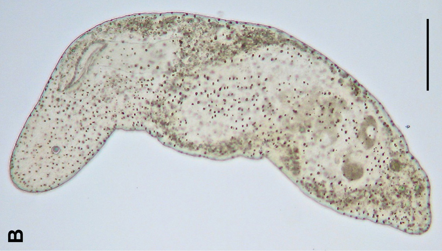 ���о���ʾ���ǵ�Զ�����ȱ�ԭ������ĸ�����