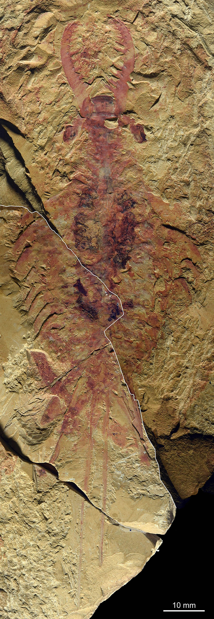 5����ǰ�ν�����Ⱥ��־����Ϻ��ʯ������Ϊ��ñ��ɽ����Ϻ��