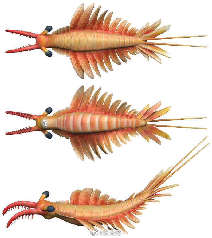 5����ǰ�ν�����Ⱥ��־����Ϻ��ʯ������Ϊ��ñ��ɽ����Ϻ��