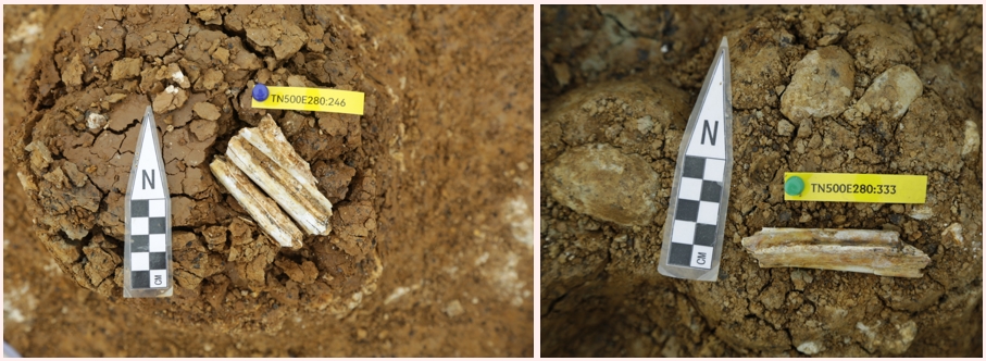 �����һ��ӷ����Ĵ���ʯ��ʱ����һ��Ҫ�Һ����Ĵ��Ϳ�Ұ��ַ