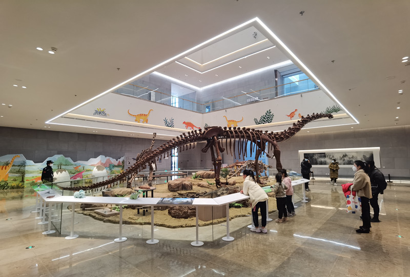 “恐龙在‘浙’儿——浙江出土恐龙化石展”在苏州博物馆开展