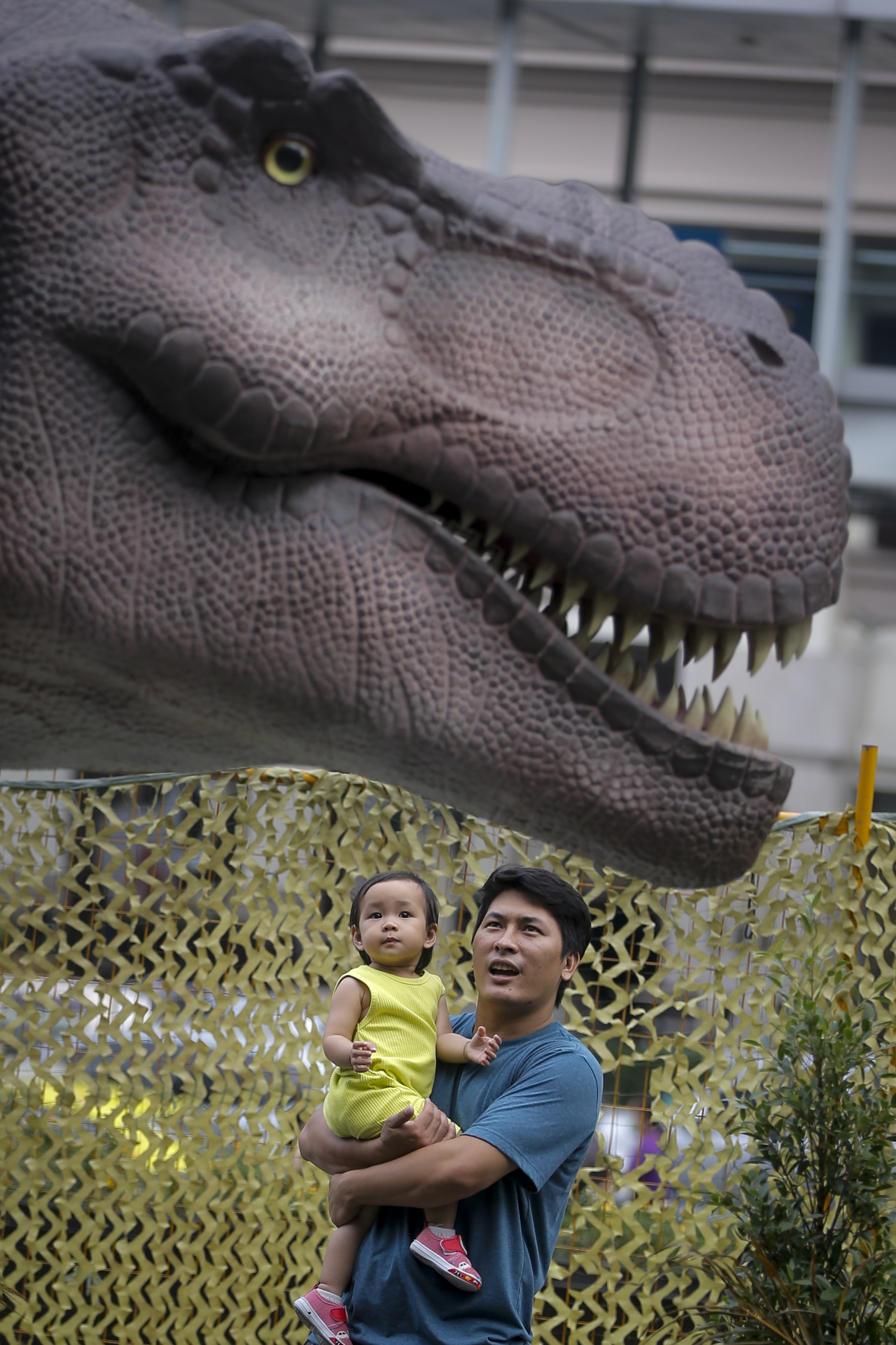 ̩�����ȡ���������ڡ�չ��80�������ģ��