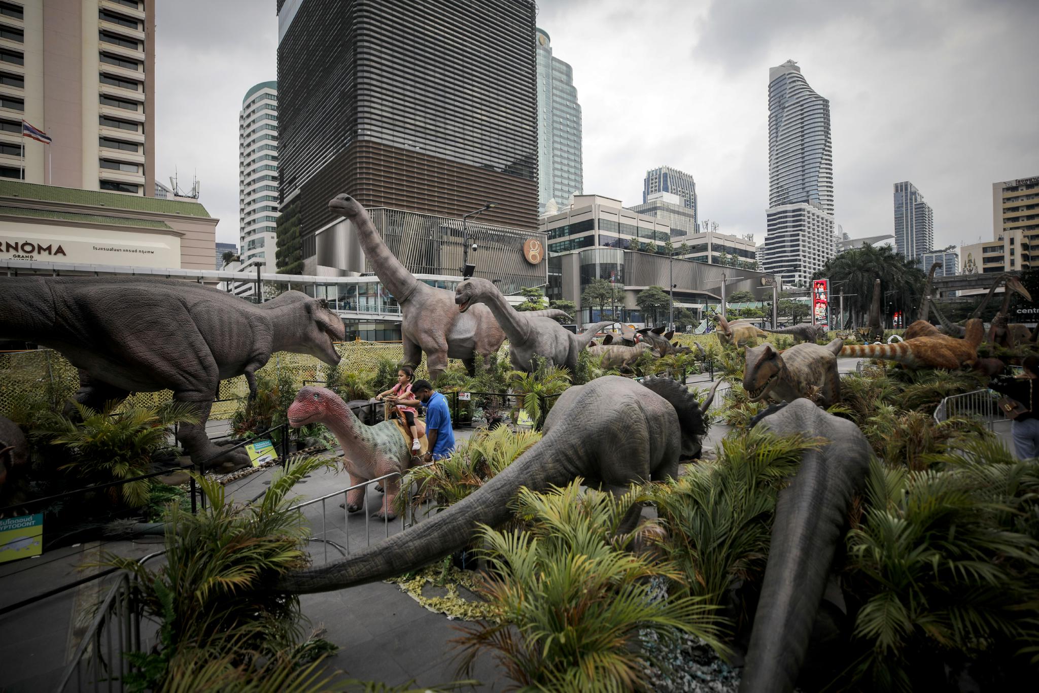 ̩�����ȡ���������ڡ�չ��80�������ģ��