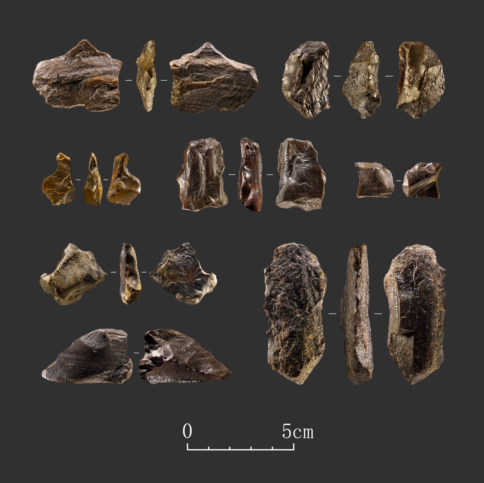 “资阳人”遗址附近发现4万多年前旧石器遗址