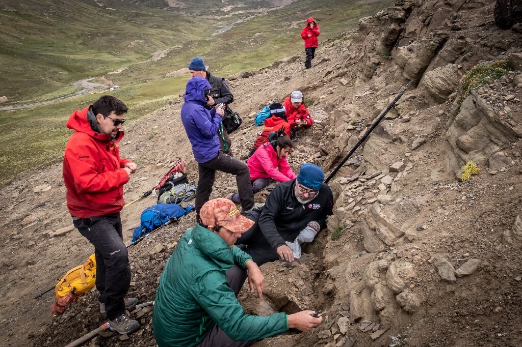 智利Las China谷地发现四种恐龙化石
