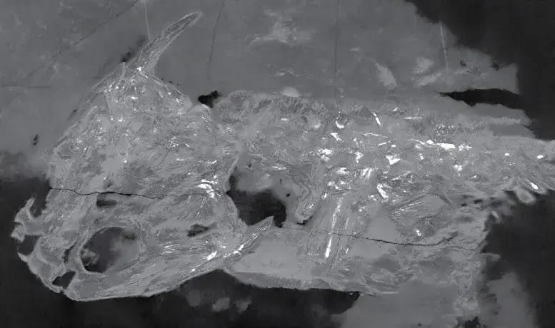 �⿪3����ǰ�������Զ�����㶯�����֮��