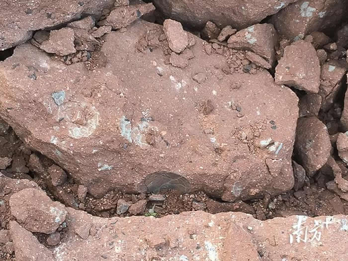 �㶫ʡ��Դ�в���ݸ��ݳ�ɢ��ʱ���ⷢ��3ö��������ʯ