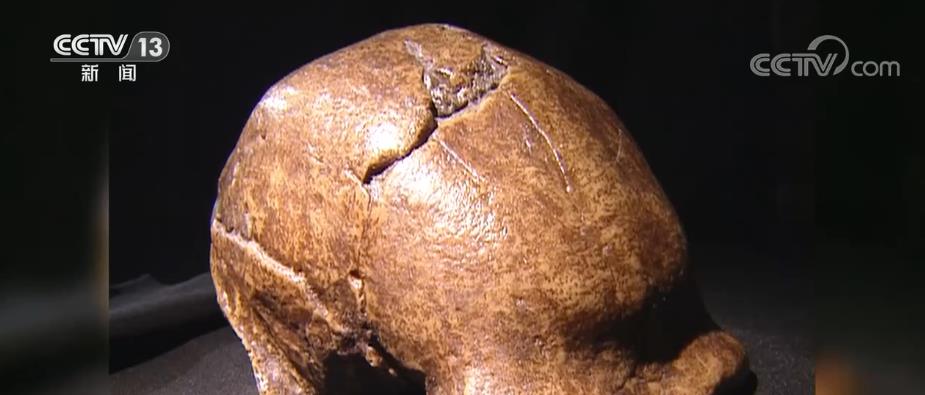 ���ŷ����й� ��ʯ��ʱ������������