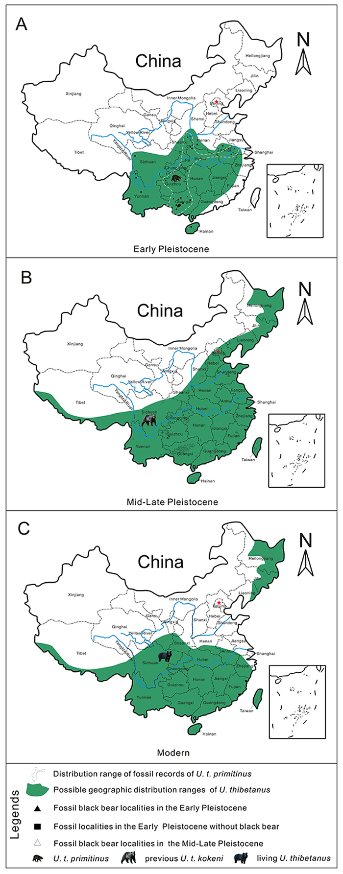 ���������ξ����������޺���ͷ�ǻ�ʯ Ϊ̽���й��������޺��ܵ����ڱ����ṩ��֤��