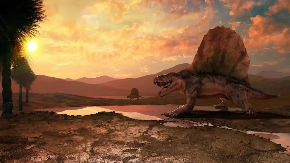 ��ʯ��������ʾ�����������߷�����������ڵ���������ģ����¼��з���������