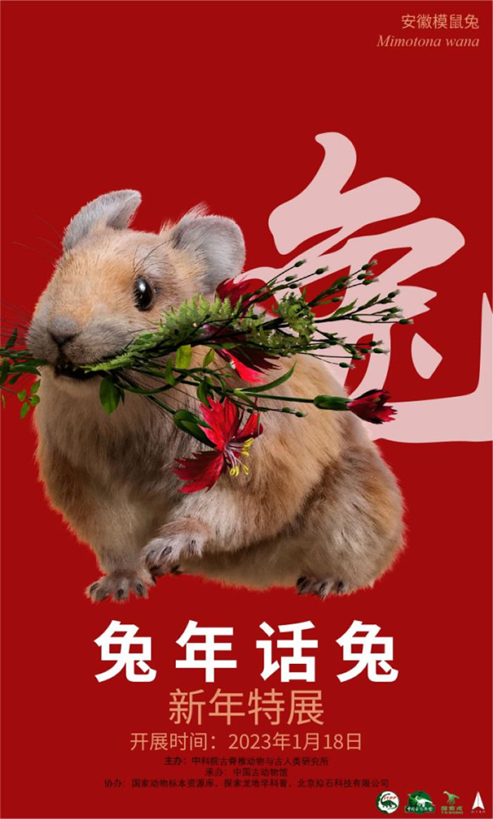 “兔年话兔”特展在中国古动物馆西厅开幕