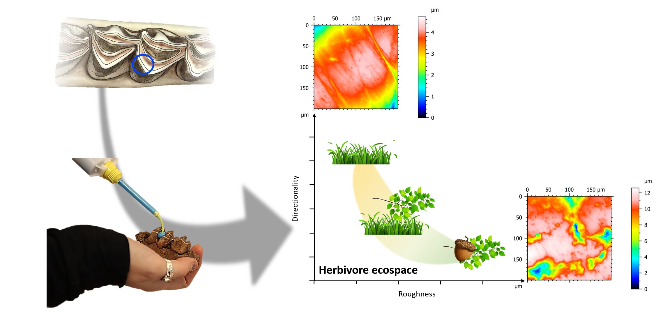 �ڷ������ֵ�֤�ݱ������ᰲ�����˸�ϲ���ڿ��ŵĻ��������� ���Բ�������仯Ӱ��