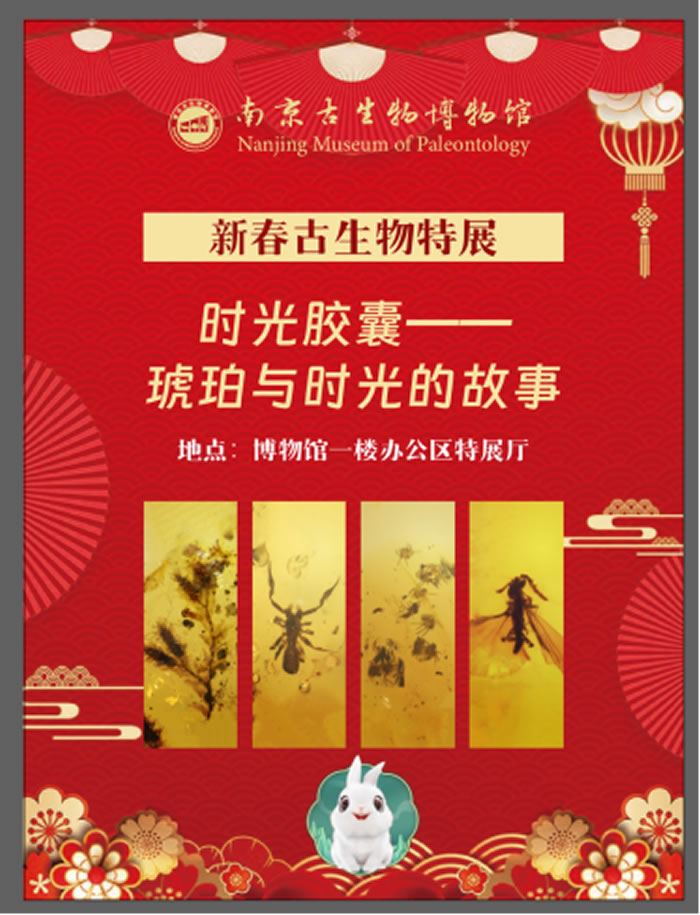 南京古生物博物馆兔年春节推出特展《时光胶囊——琥珀与时光的故事》