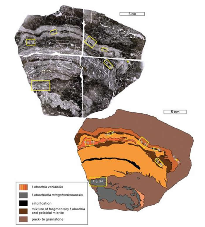���Ĵ����ǹ���������������ռ�����ϣ��׺����о�ȡ���½�չ
