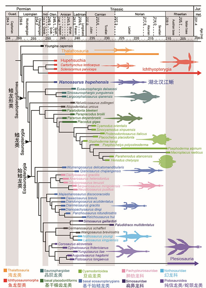 �����Ŀ�������ж������ȵ�������̬����Ӧ�Է���