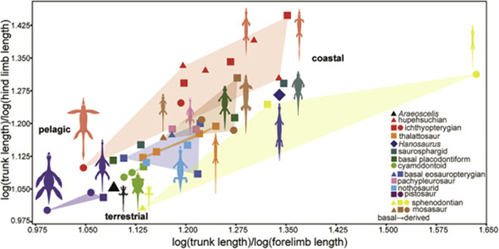 �����Ŀ�������ж������ȵ�������̬����Ӧ�Է���