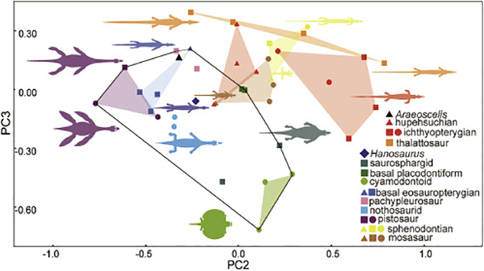 �����Ŀ�������ж������ȵ�������̬����Ӧ�Է���