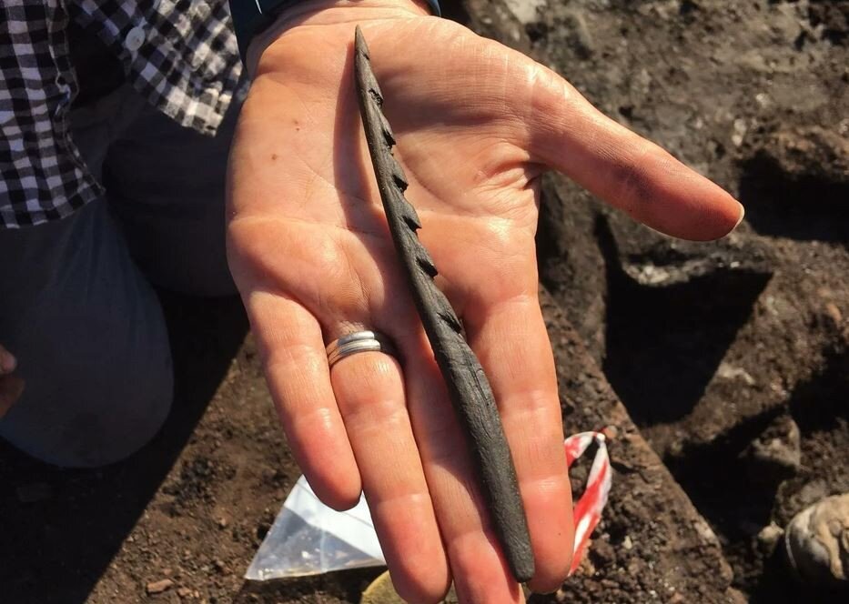 ����ѧ�ҽ�ʾӢ��ʯ��ʱ�����Բɼ��ߵ�����