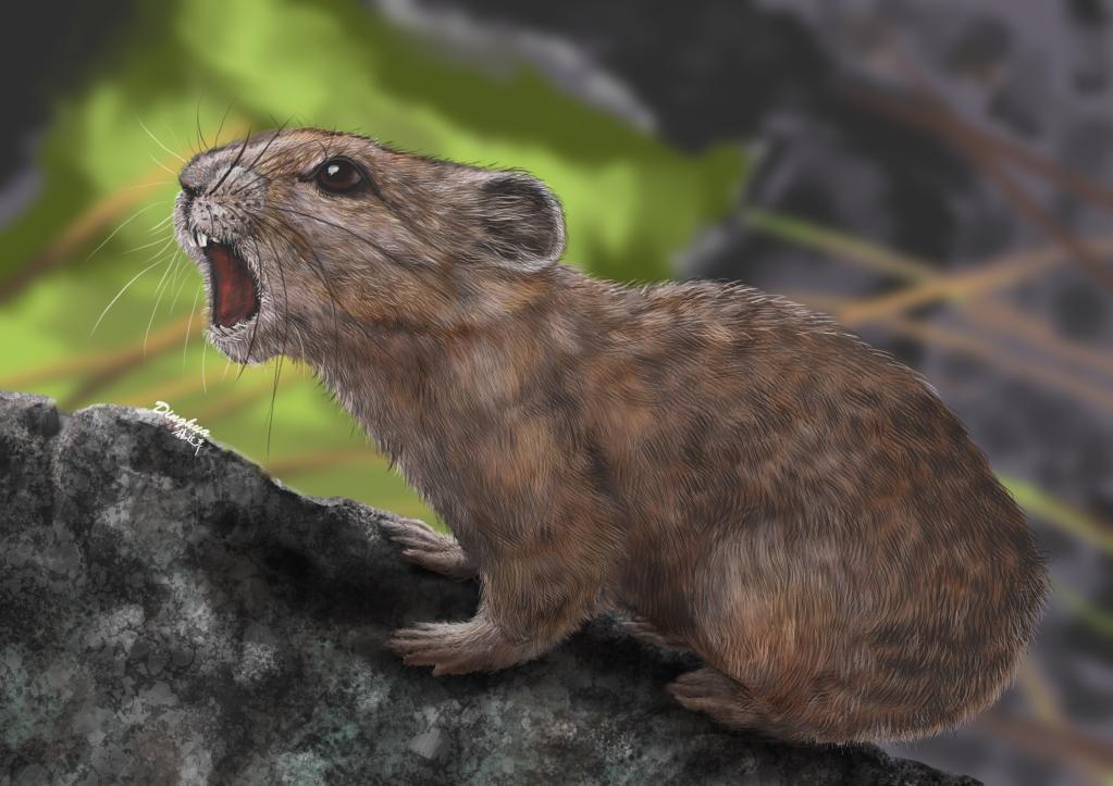 2023���î���� �ɰ������������Դ�ݻ�������