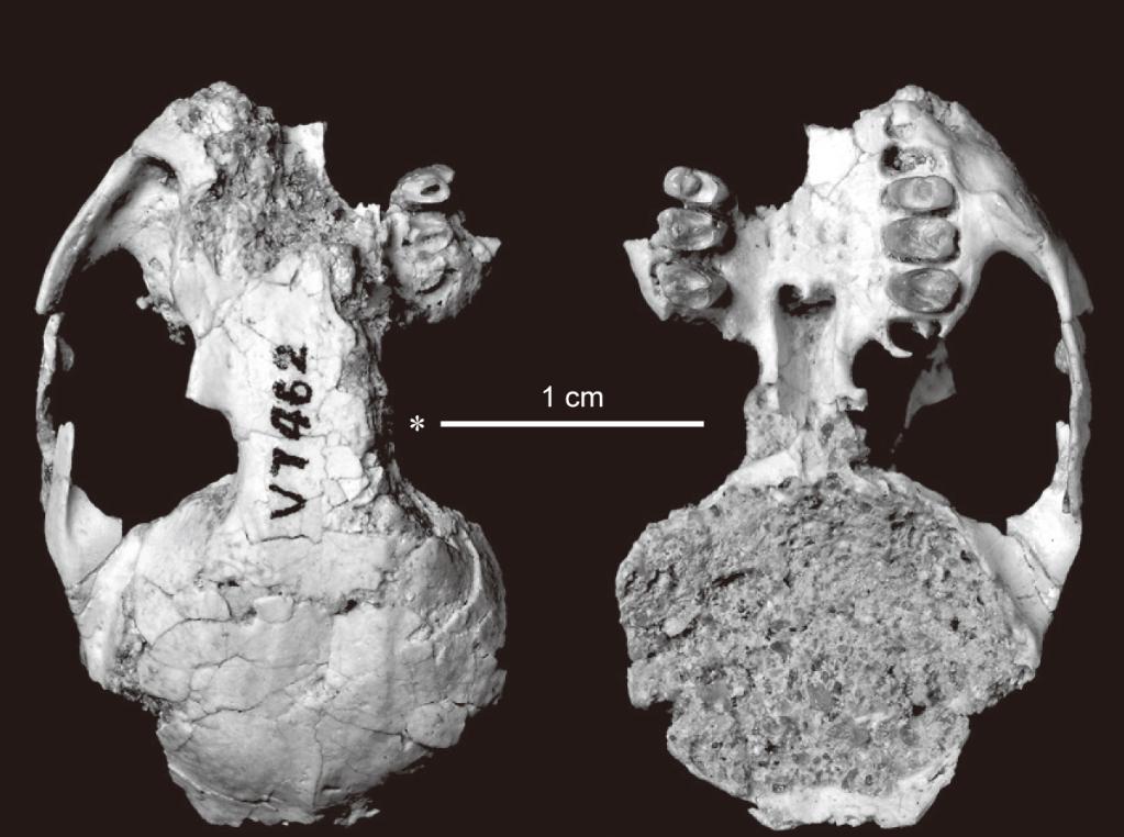 2023���î���� �ɰ������������Դ�ݻ�������