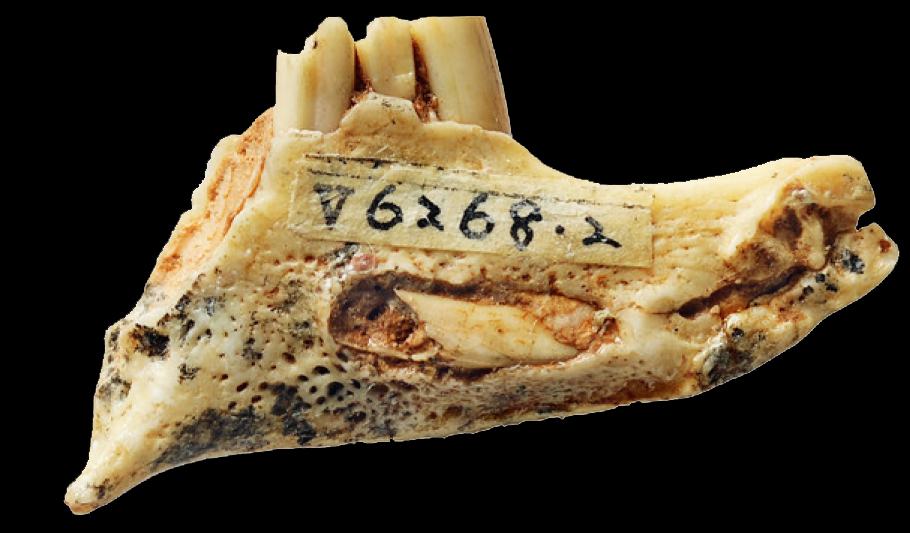 2023���î���� �ɰ������������Դ�ݻ�������