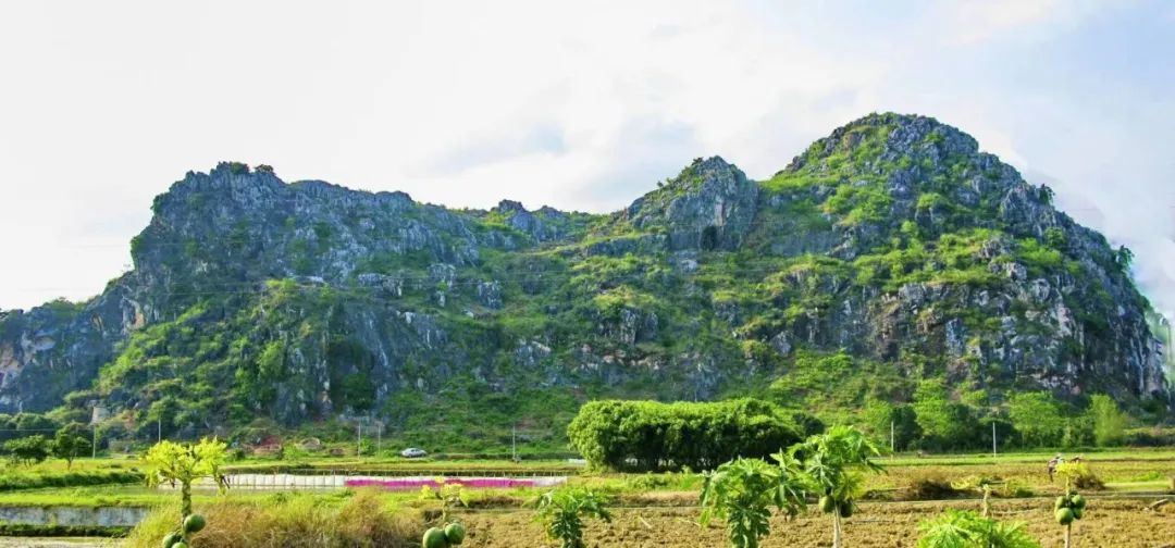 ��ɽ����ַ��԰��ѿ��� ���ڸ��������ھ��Լ2����