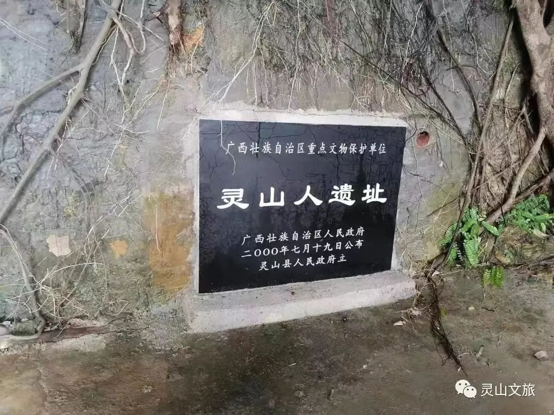 ��ɽ����ַ��԰��ѿ��� ���ڸ��������ھ��Լ2����