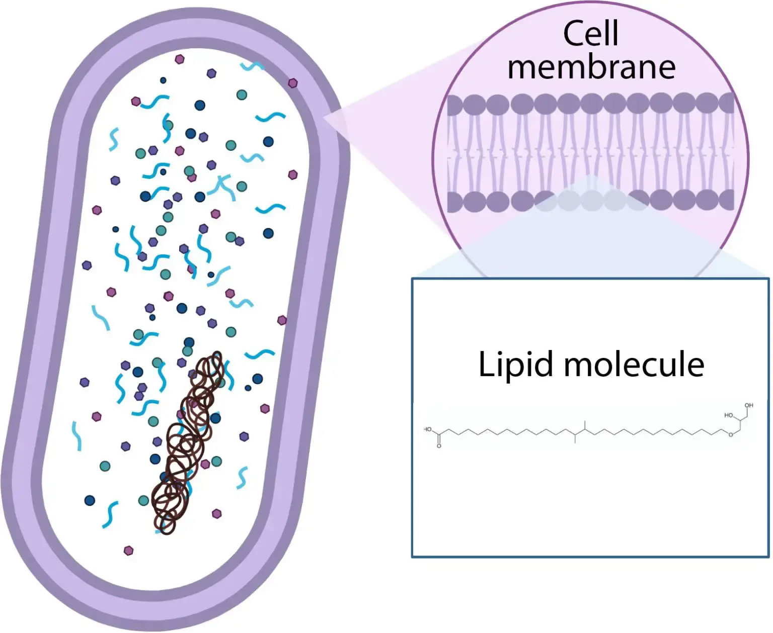 �ҿ�����仯�����ܣ�����ʯ����������ϸ����ϵ����