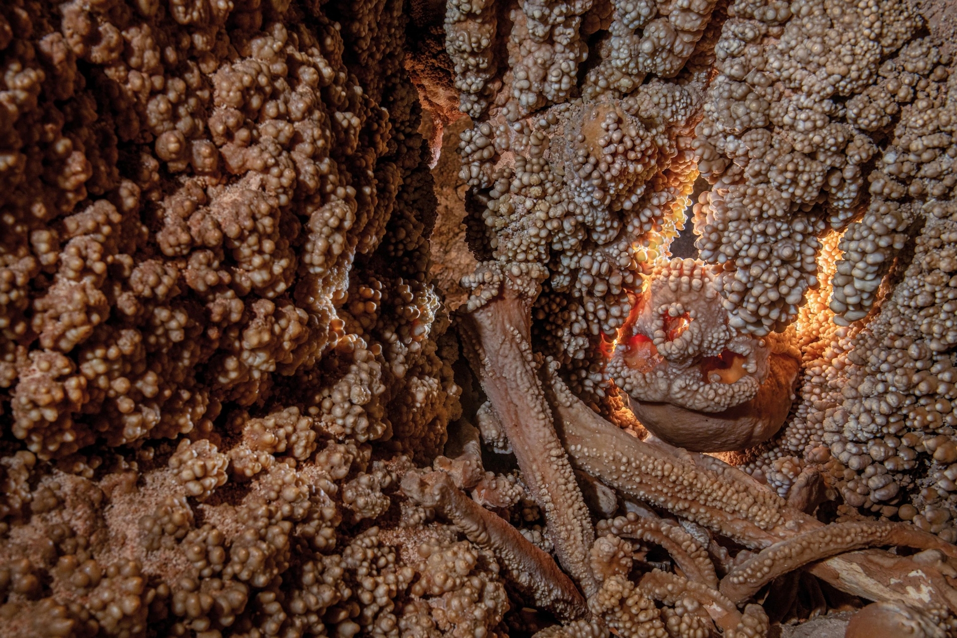 美国国家地理:窥探尼安德特人的世界
