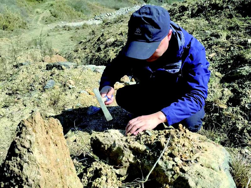 浏阳松岗山中奇石引来地质专家,确认系远古海洋生物化石