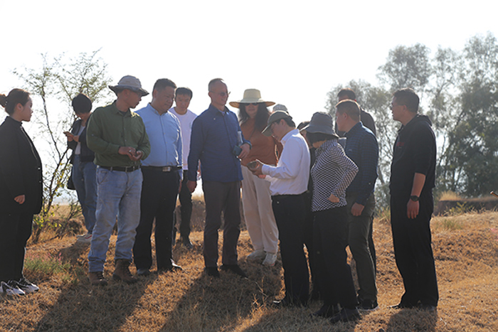 �п�Ժ�ż�׵�����������������ǩ���������Э��