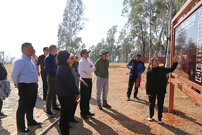 �п�Ժ�ż�׵�����������������ǩ���������Э��