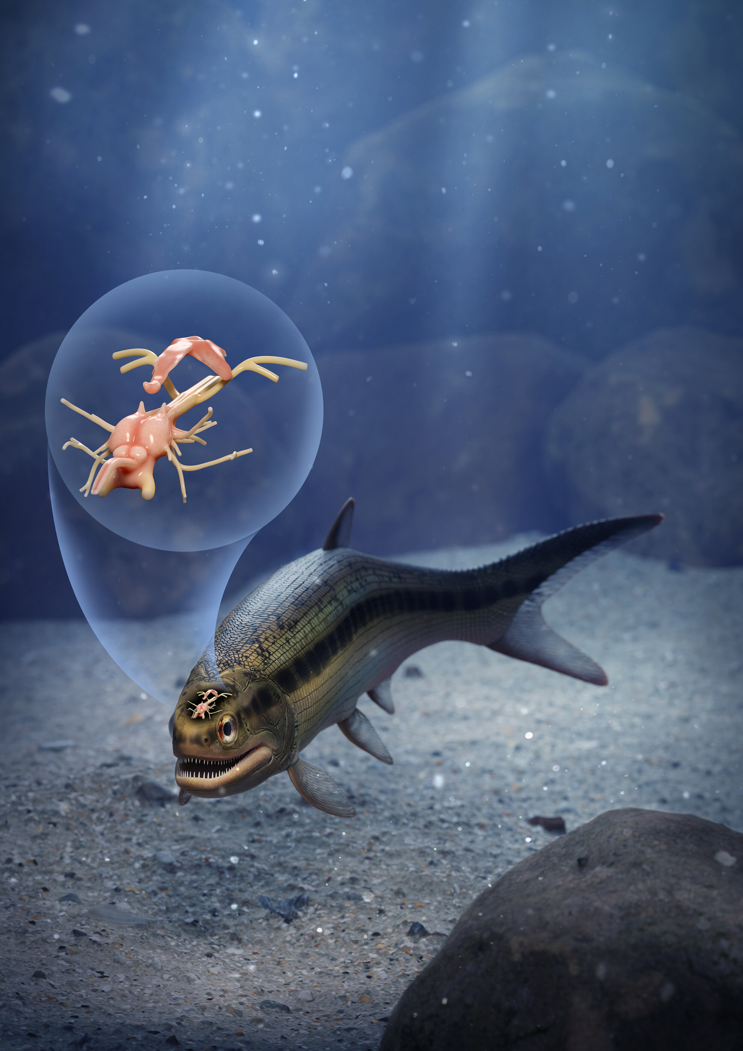 ����ǰӢ��ú�������3.19����ǰ����ͷ�ǻ�ʯ��������������ϵļ�׵������������