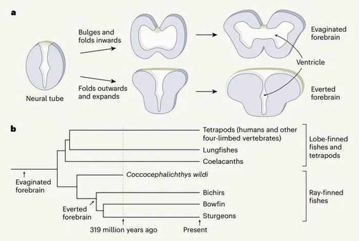 ����ǰӢ��ú�������3.19����ǰ����ͷ�ǻ�ʯ��������������ϵļ�׵������������