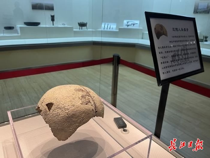 汉阳人头盖骨化石“回家”展览