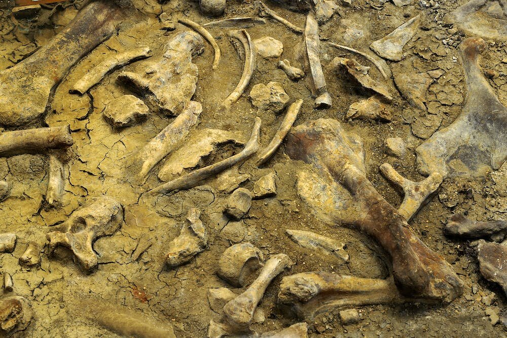 ���ô󰬲���ʡ�����Ӵ��еĻ�ʯ���ܽ�ʾ��������������ʵ