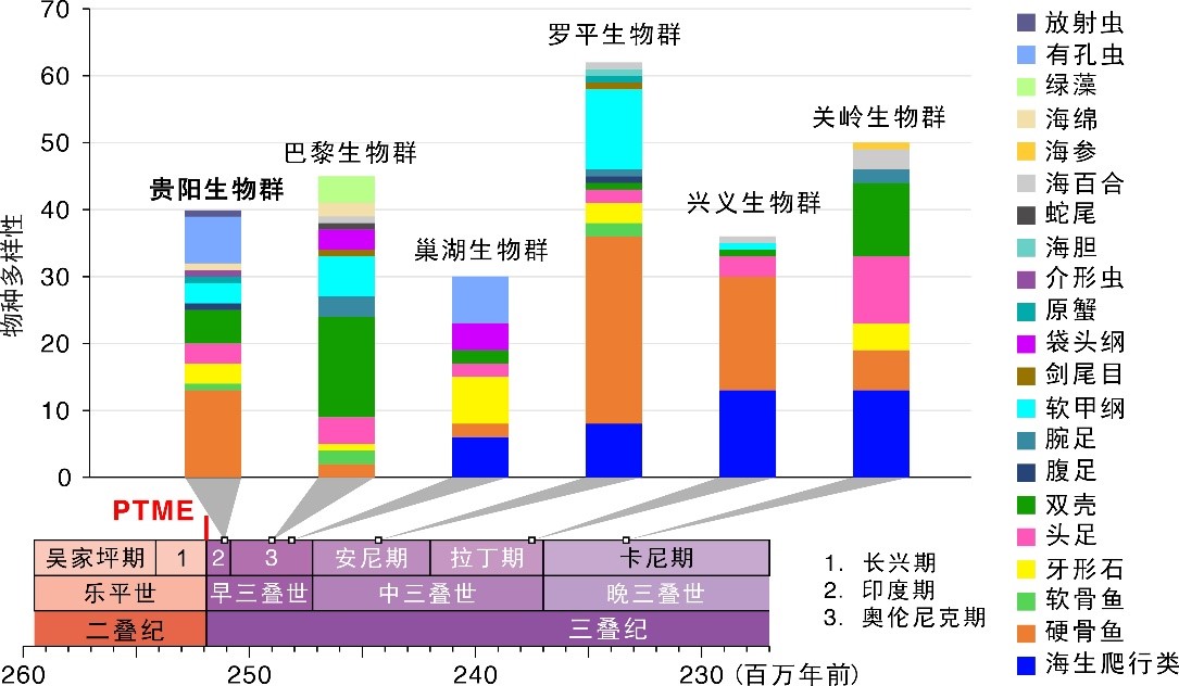 2.5����ǰ��������Ⱥ����ʾʷ����������������ִ����ͺ�����̬ϵͳ����