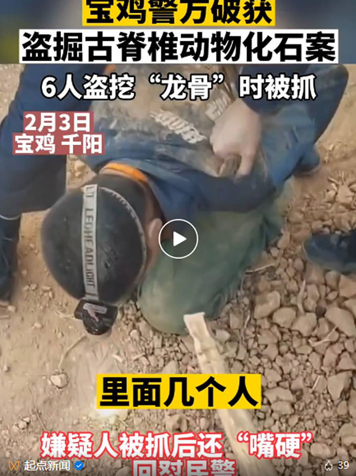 陕西宝鸡警方破获盗掘古脊椎动物化石案 6人组团盗挖“龙骨”被民警在洞口抓获