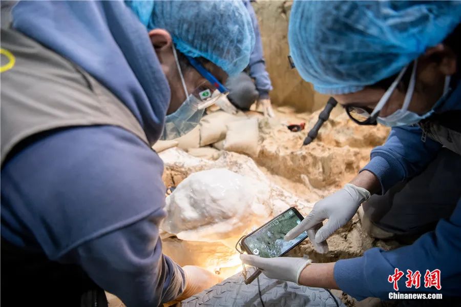 �������ˡ�3��ͷ�ǻ�ʯ����ʵ֤�����������ݻ�ʷ��