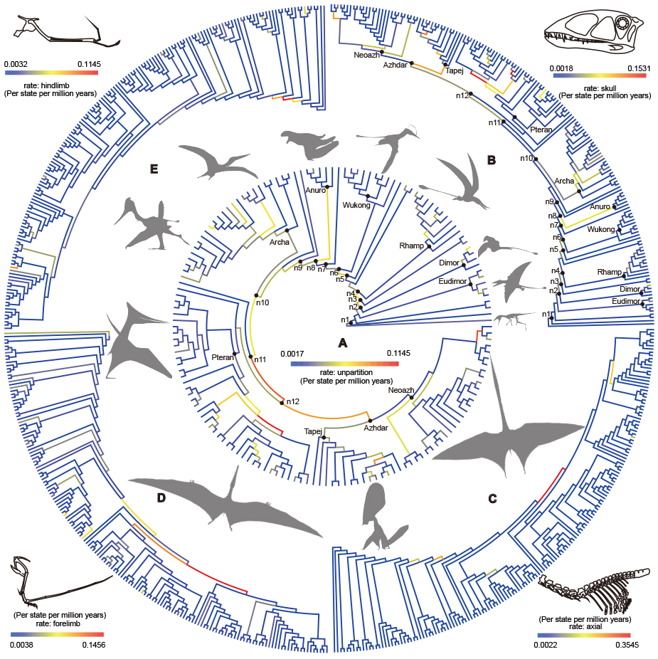 ����������ѧ�����������������Դ�߶��ݻ������о��ɹ�