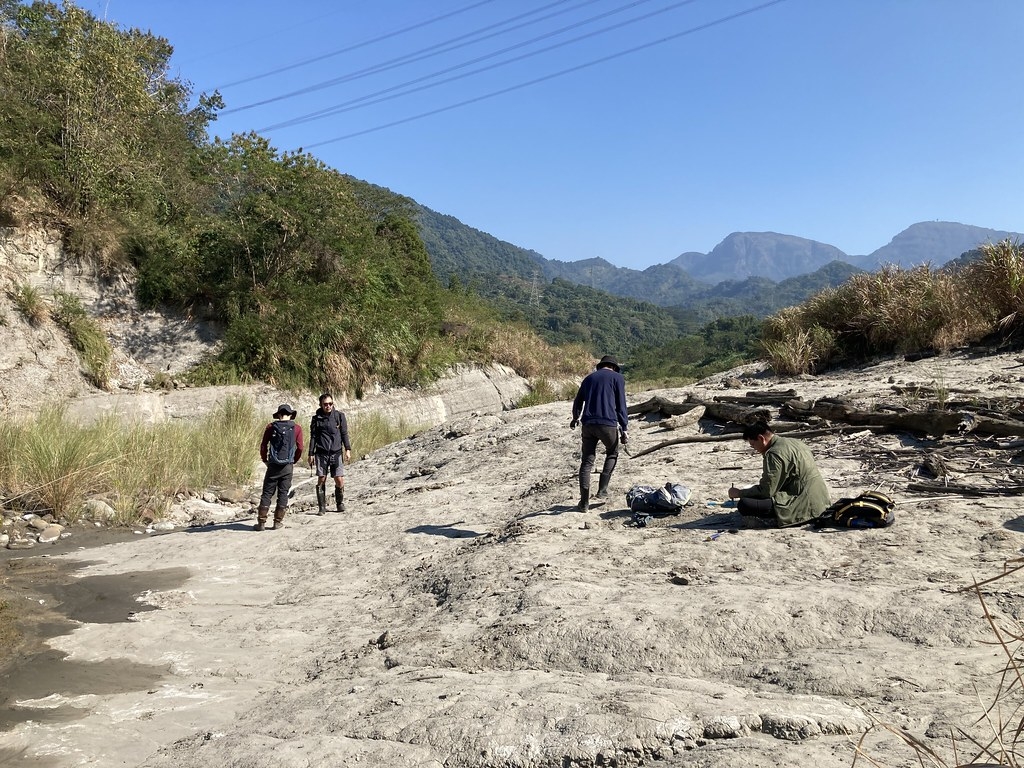 ̨�����ţ�������㻯ʯȺ�����ָ������������̬����