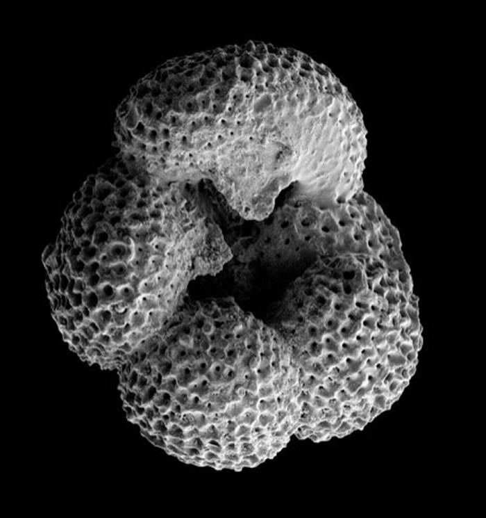 �о�����������������������������ѧ�ϸı��˺���������Ⱥ��