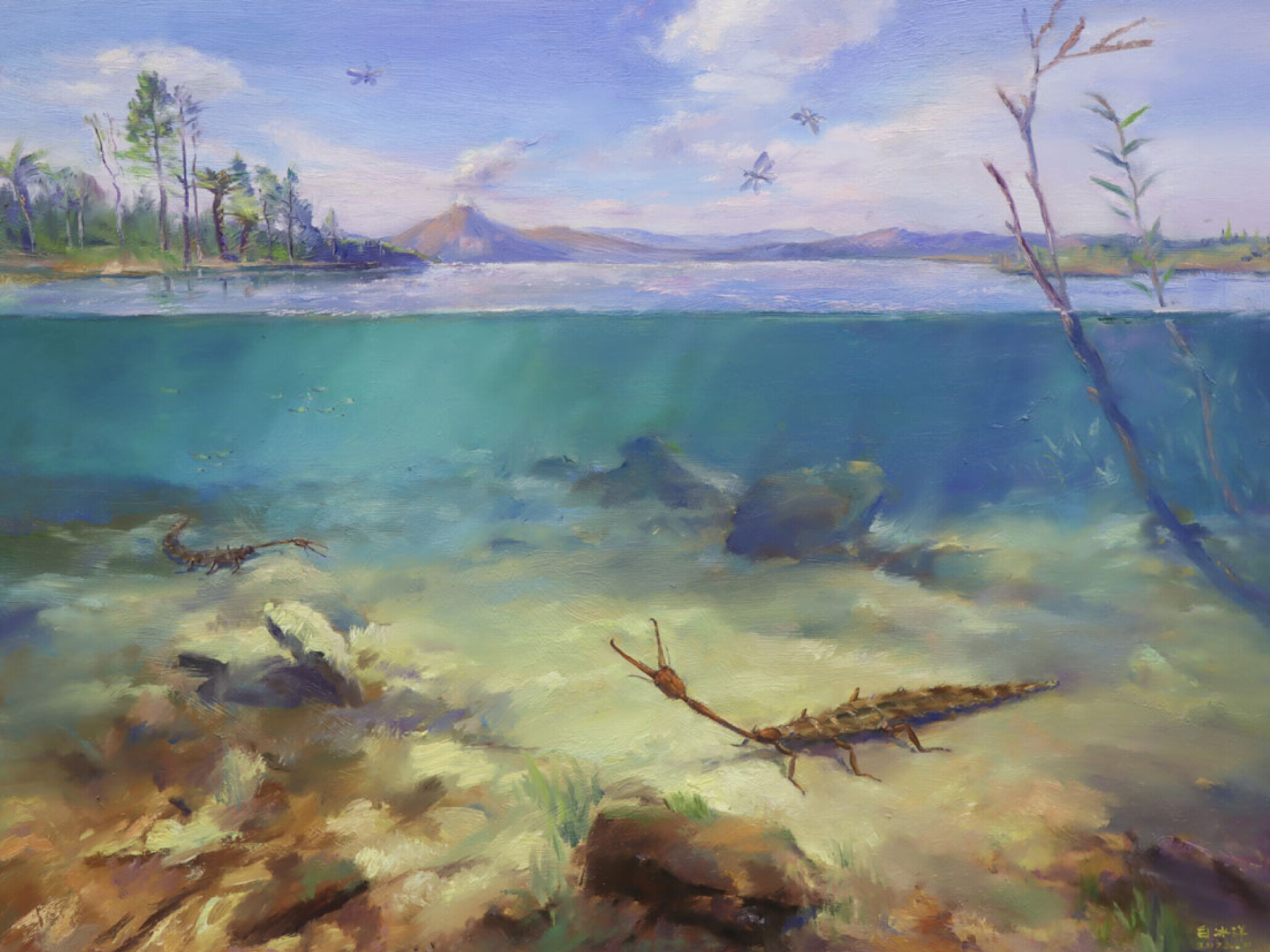 中国内蒙古道虎沟发现最古老的神经翅目草蛉幼虫化石