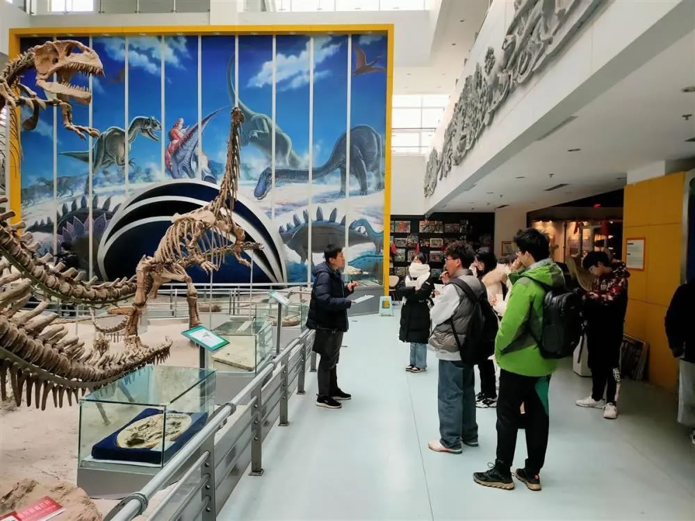 唤醒沉睡的化石！去中国地质大学（武汉）逸夫博物馆探寻生命演化奥秘