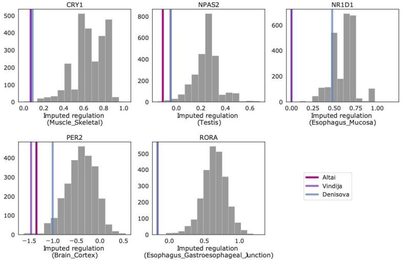 �ᰲ�����˵Ļ����������������������Ӧŷ�ǰ���ʱ��Ĳ���