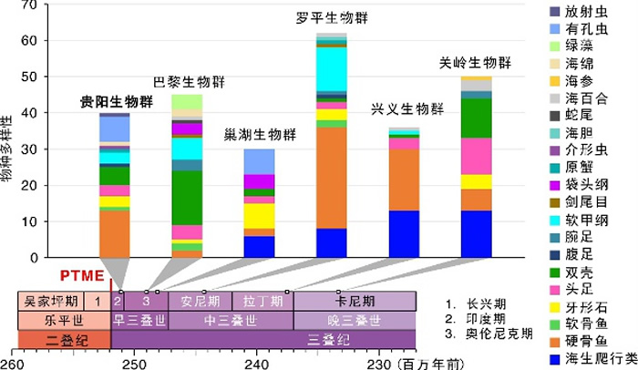 在贵阳发现的古生物化石库“贵阳生物群”揭示了啥?