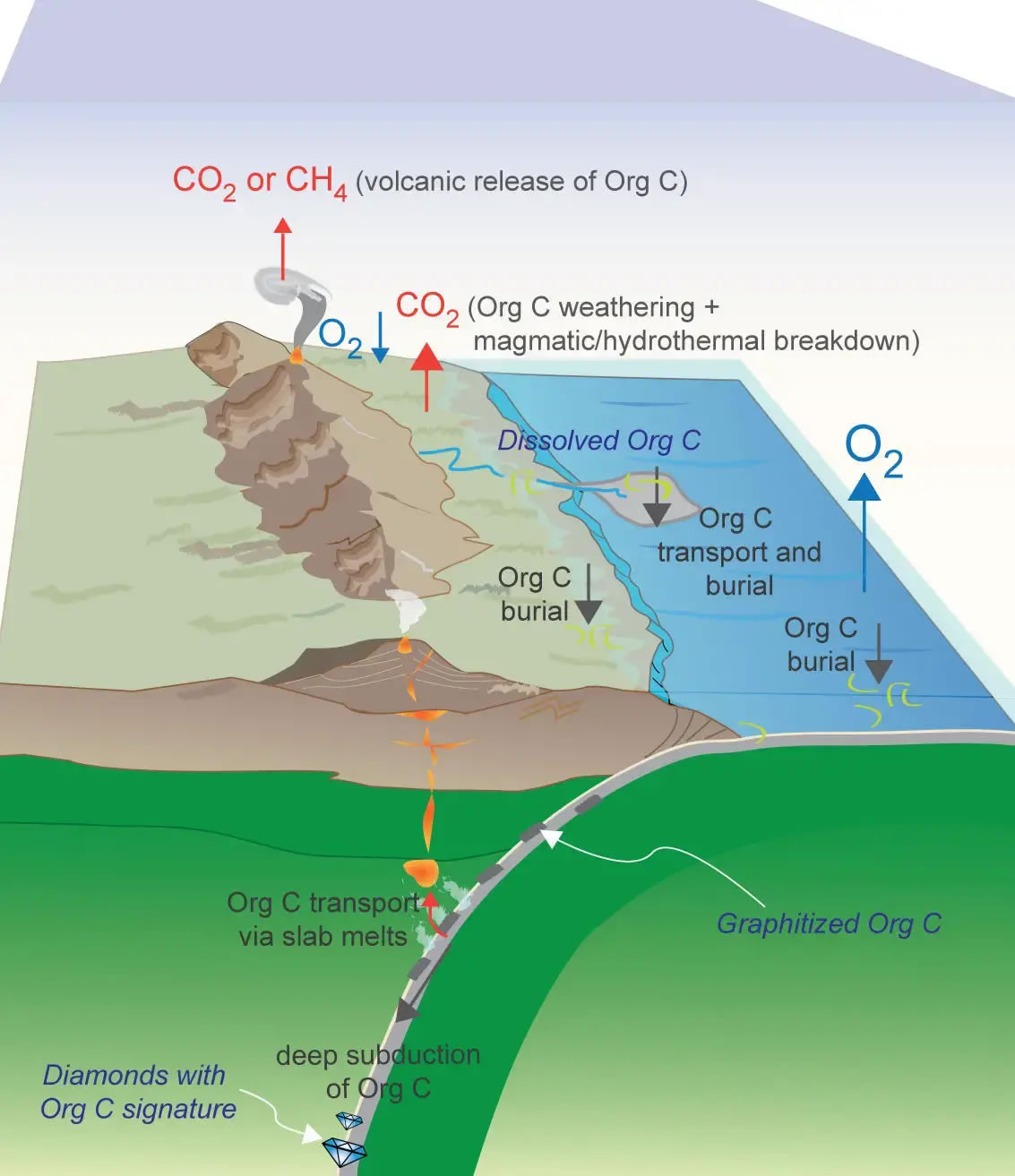 �ռ�����50��ĺ����ѧ��̽���� �Գ��뺣�ײ��������������л�̼����ͻ�����о�